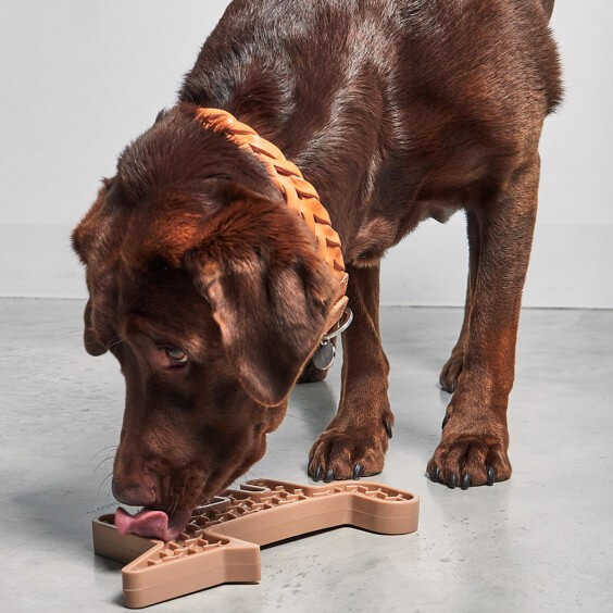 MiaCara Volpe Hundespielzeug - Agof Store