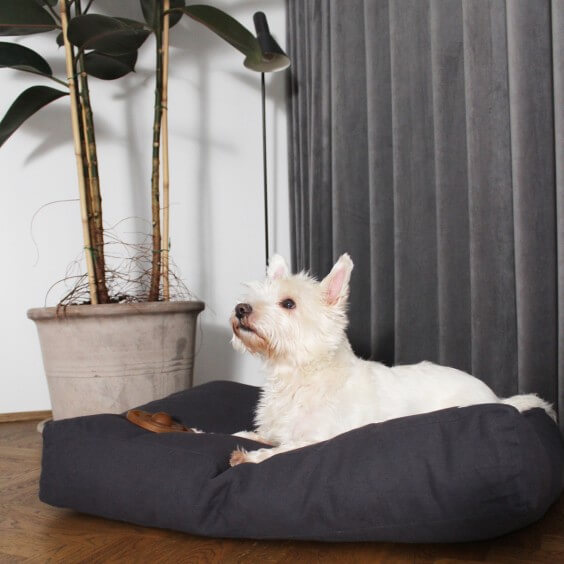 Tadazhi Tobine cuscino per cani - Agof Store