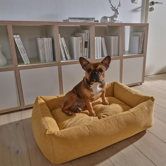 Laboni Tudor Dog Bed - Agof Store