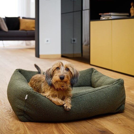 Teddy cuccia per cani Laboni - Agof Store