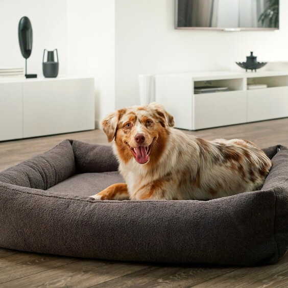 Teddy cuccia per cani Laboni - Agof Store