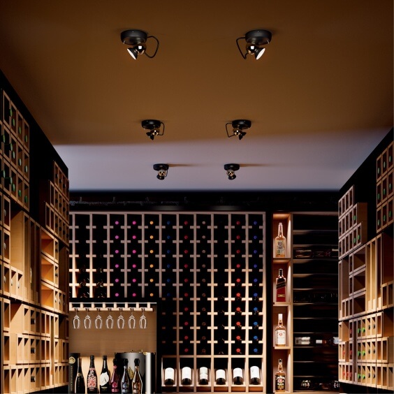 Duck Lampada da parete soffitto Linea Light - Agof Store