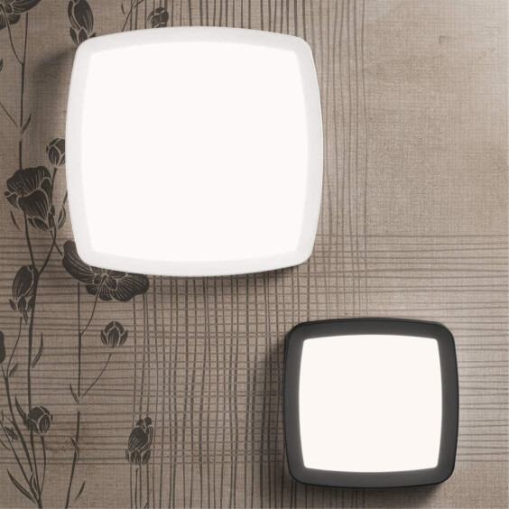 Linea Light Reiki wall ceiling lamp - Agof Store