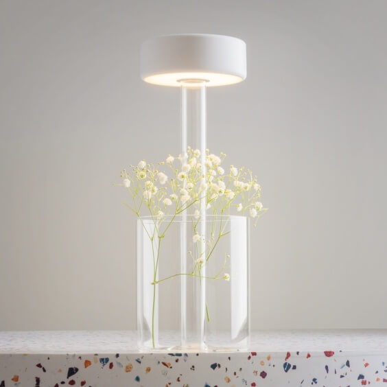 Maytoni AI Collaboration Vase Tischleuchte - Agof Store