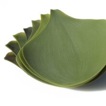 Covo Season small Dish - Agof Store